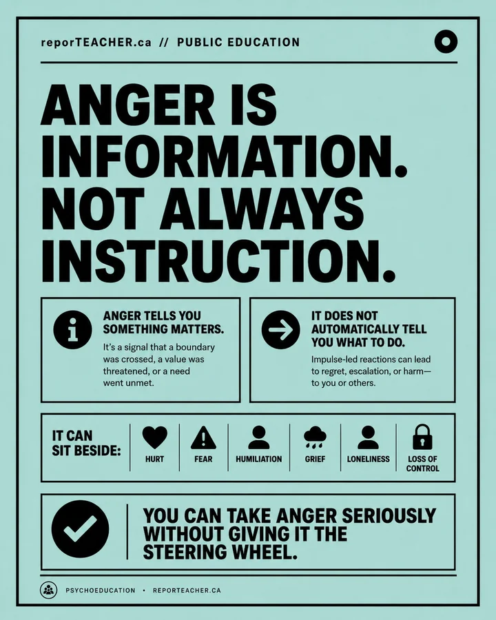 Psychoeducation infographic explaining that anger carries information but does not automatically dictate action